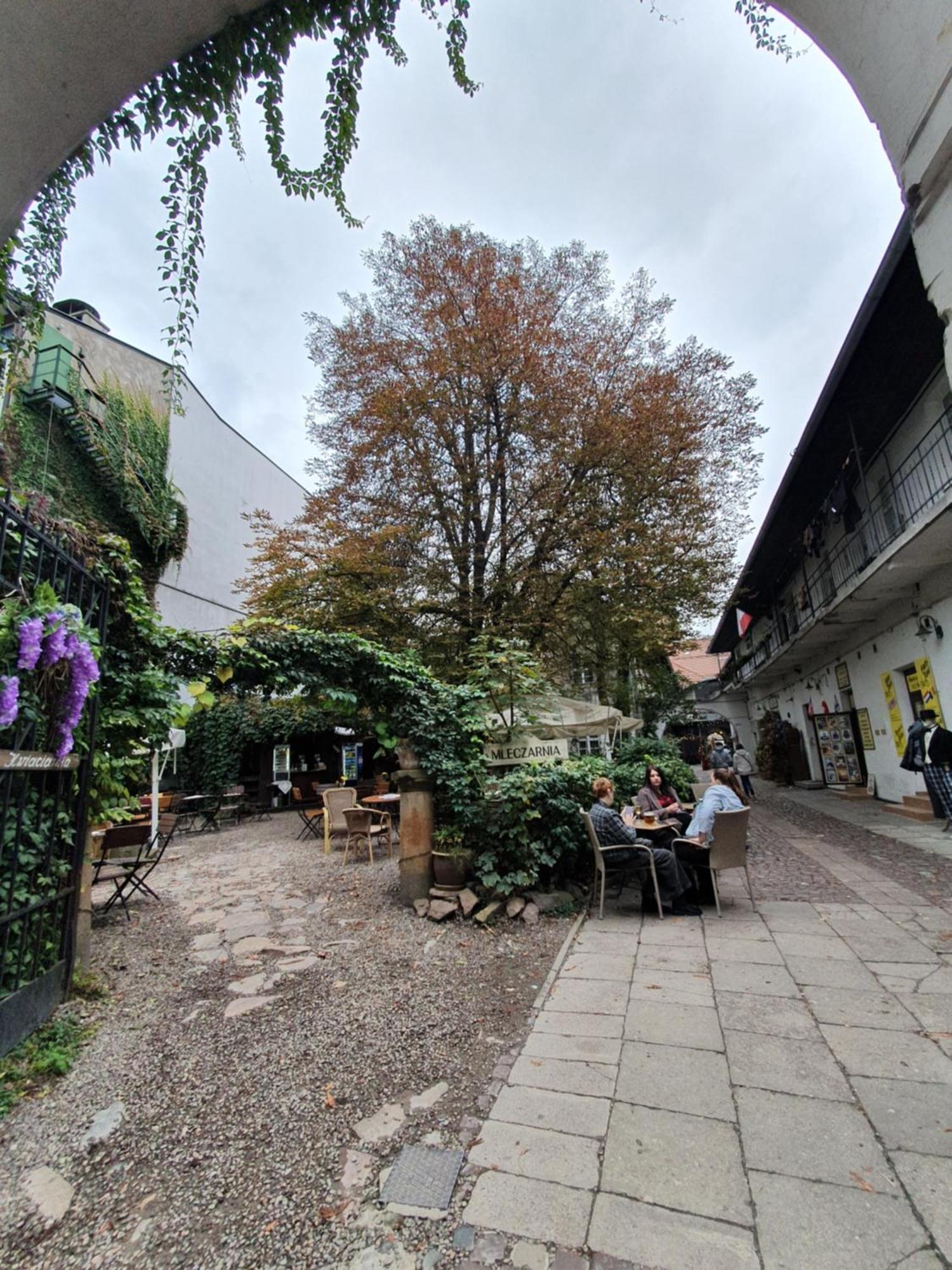 Apartment B-4 Stary Kazimierz O&p Apartfamily *